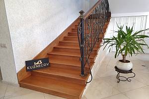 Лестница Ирма 2