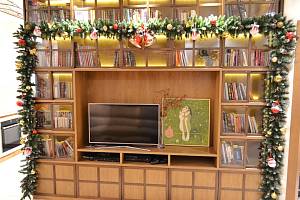 Дуксов тв зона